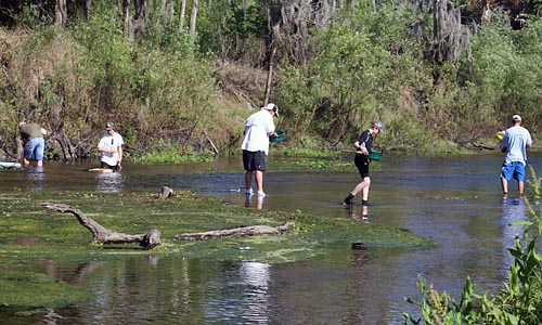 Chapter members spread out searching for a good spot.